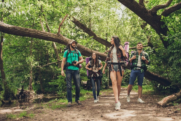 Trekking and Hiking Expedition